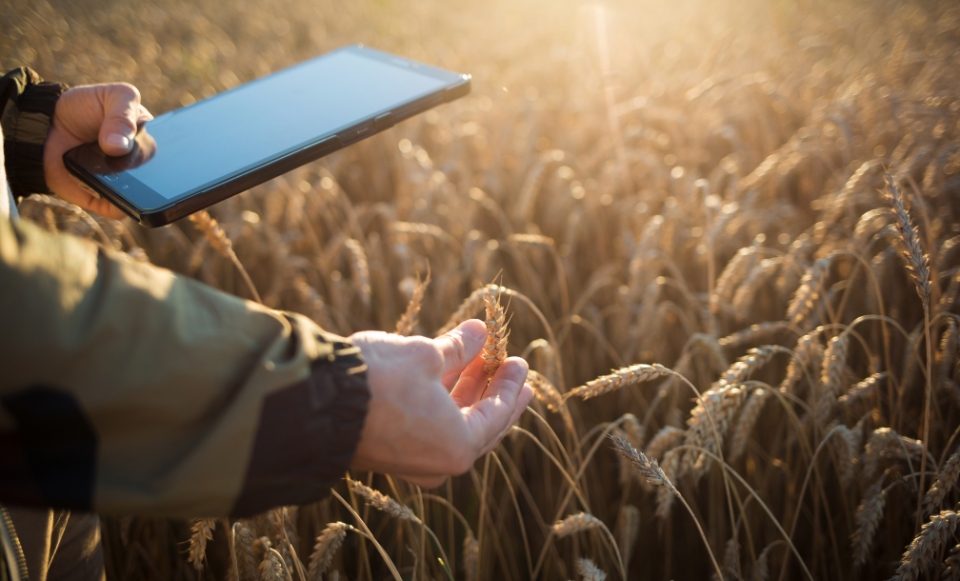 Agtech Software Development