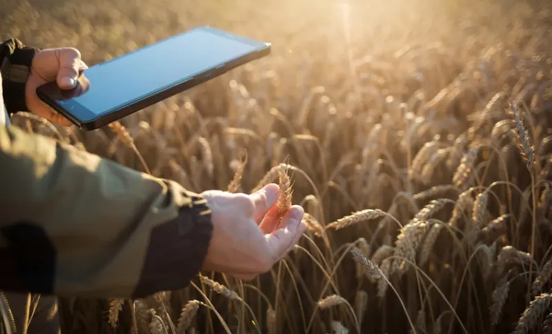 AgTech