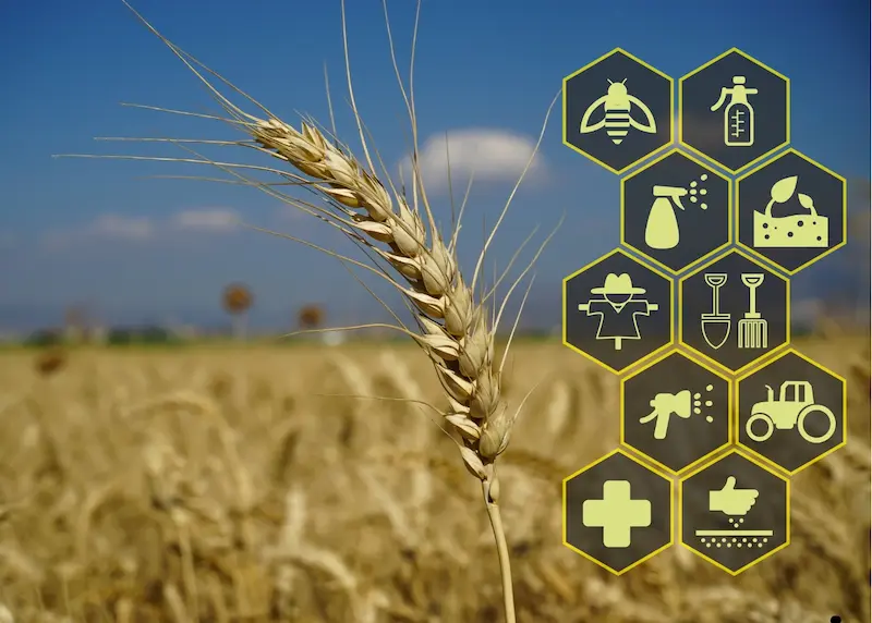 Asistentes de IA para el Agro